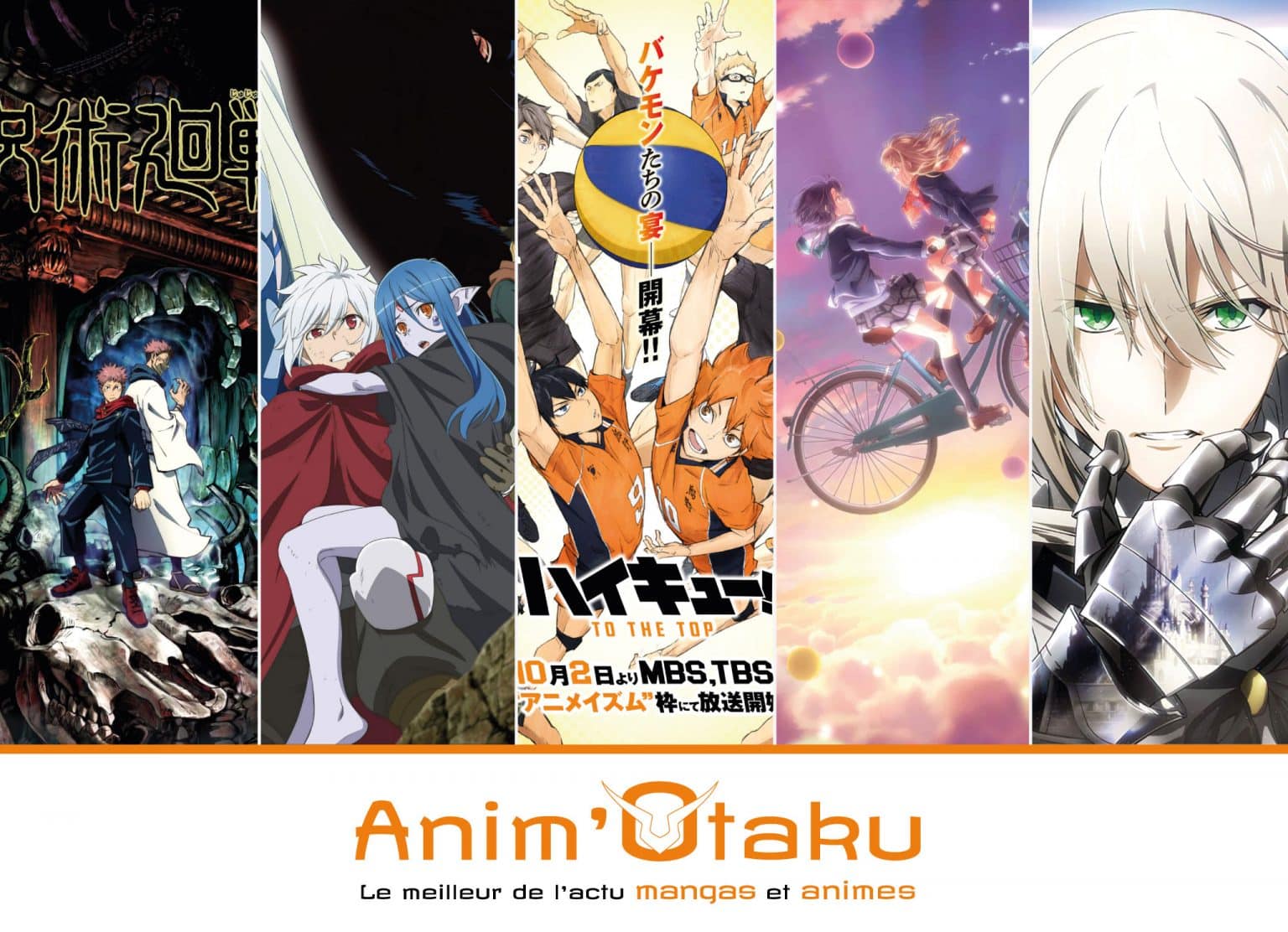 Top 10 des meilleurs animes de tous les temps Anim'Otaku