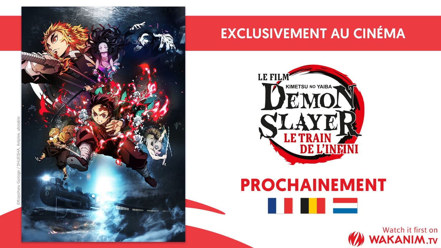 Le Film Demon Slayer Le Train De L Infini Annonce En France Anim Otaku