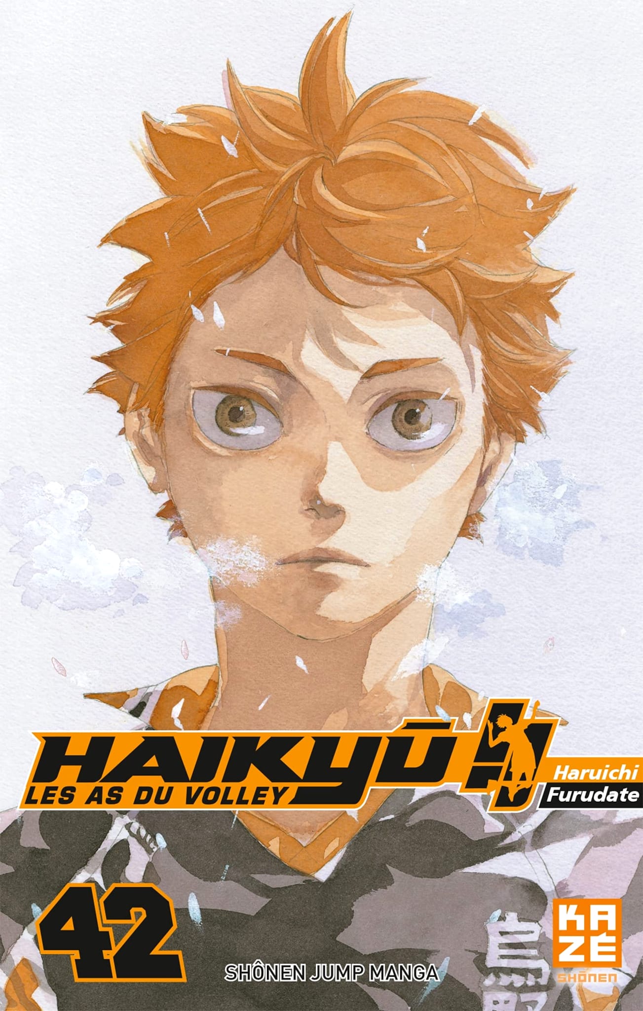 HAIKYU!! FINAL La Guerre des Poubelles (film) Wiki Anime AnimOtaku