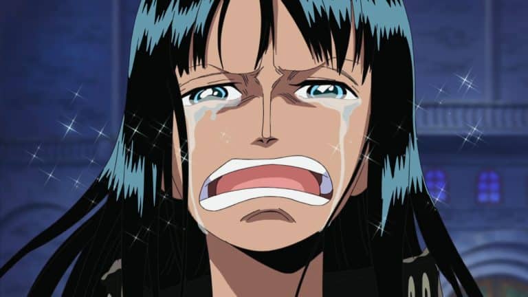 ONE PIECE : liste complète des épisodes sans les hors-série - AnimOtaku