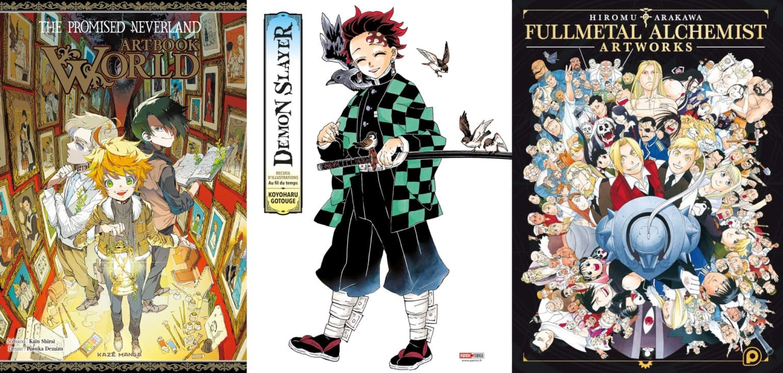 Idée Cadeau Manga : 50+ cadeaux pour Noël et Anniversaire - AnimOtaku