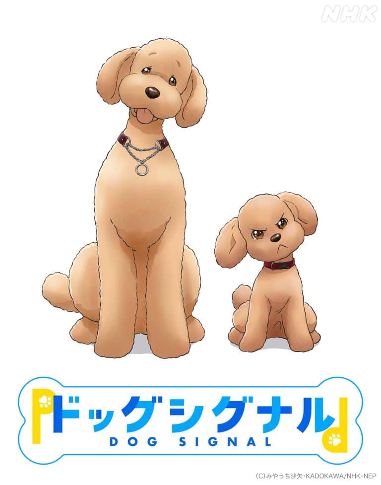 Second visuel pour lanime DOG SIGNAL