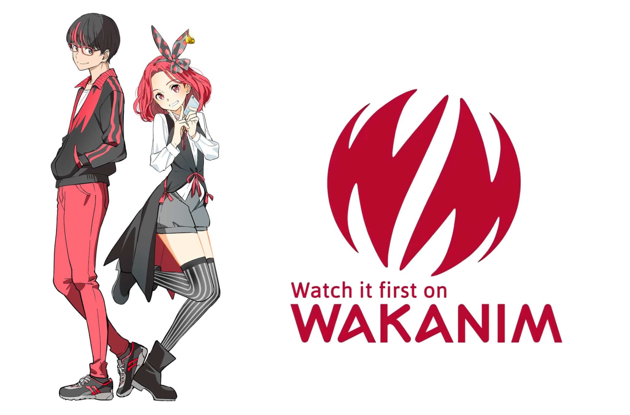 Annonce de la date de fermeture définitive de la plateforme de streaming Wakanim