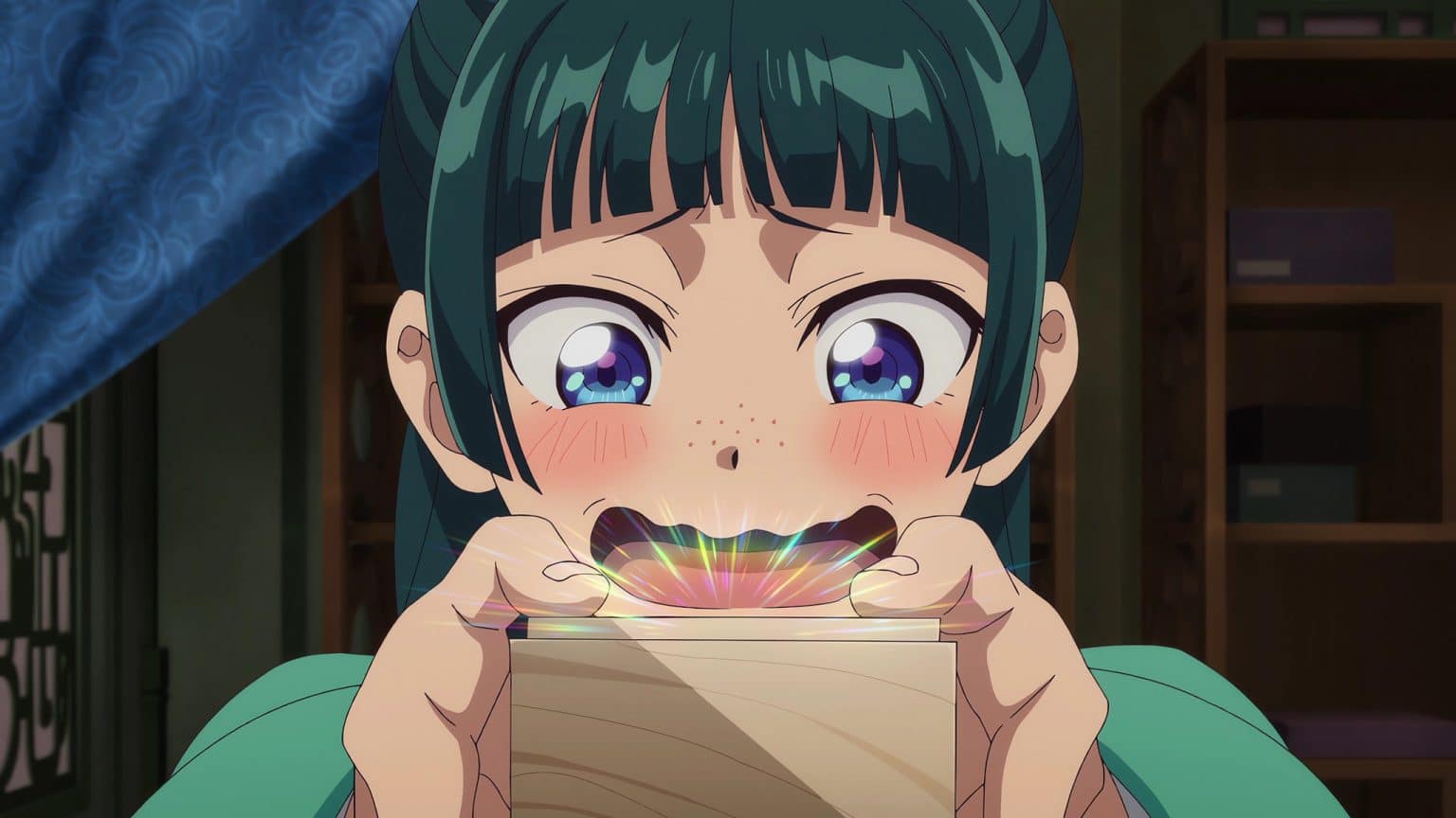 Les Carnets De L'apothicaire Vf