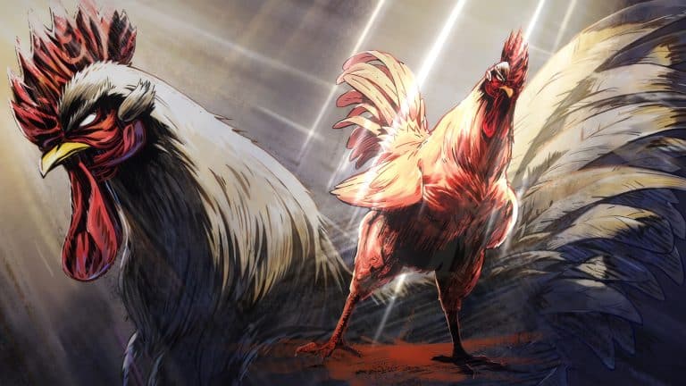 Annonce de l'anime Rooster Fighter : Coq de Baston.
