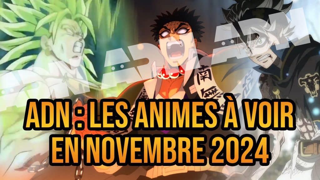 Présentation des animes à voir sur ADN en novembre 2024.