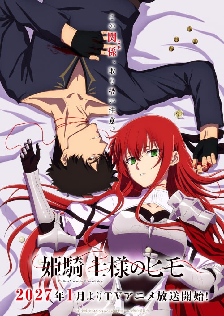 Visuel 2 de l'anime Himekishi-sama no Himo.
