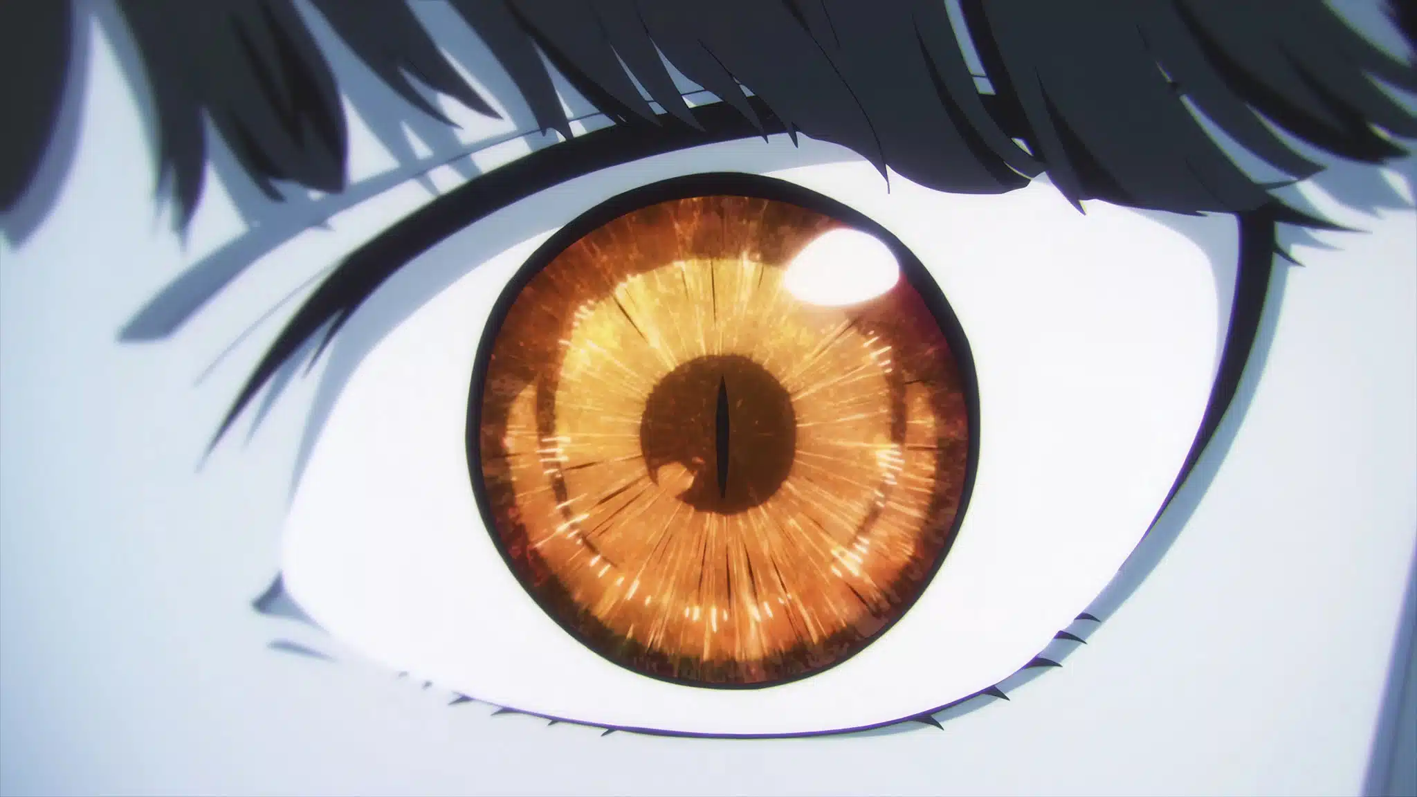 Premier teaser pour l'anime Young Ladies Don't Play Fighting Games.