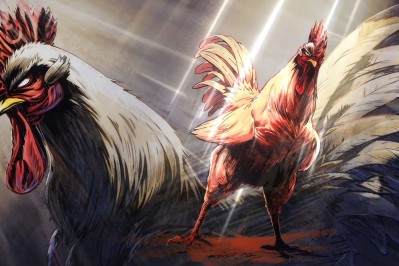 Annonce de l'anime Rooster Fighter : Coq de Baston.